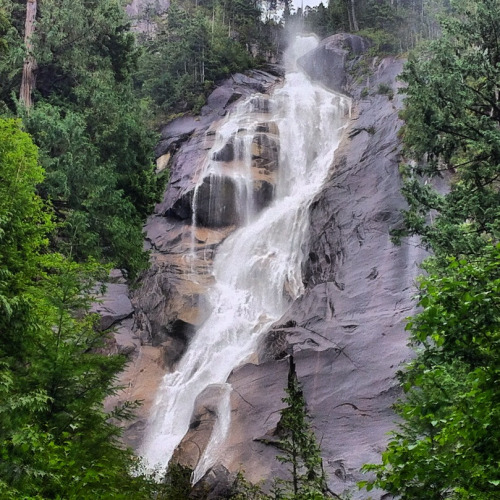 Behold Shannon Falls in all it’s glory. This photo does not do it justice as it is quite the majestic sight.
Apparently we were not the only ones who thought visiting the falls on a Sunday afternoon was a good idea, this place is packed.
It’s right...