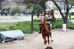 stiilldreaming:  deskiciado:  La princesa a caballo,la princesa a caballo!!  Cosas que solo se ven en Chile, un animal arriba de un caballo
