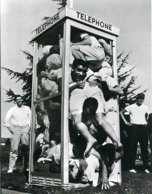 Telephone booth stuffing, 1970.