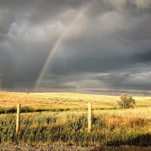 thispenguin: My sky. #sky #rainbow #bigsky #montana #nofilter (Taken with Instagram)