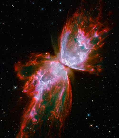 ancient-magics:  This celestial object looks like a delicate butterfly. But it is far from serene. What resemble dainty butterfly wings are actually roiling cauldrons of gas heated to nearly 20 000 degrees Celsius. The gas is tearing across space at more