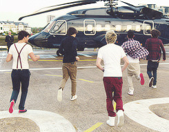 lefleures-deactivated20121118:  Since One Direction formed… 