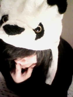 i-am-your-worse-nigthmare:  gorrito de panda