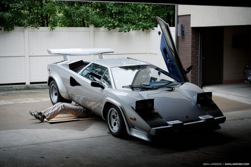 wellisnthatnice:  DSCF3754 by Dan Landoni on Flickr.