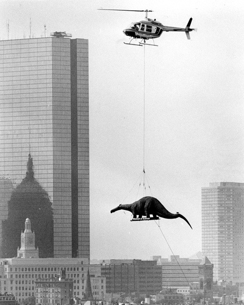witlovesyou:  Delivering dinosaurs for exhibit at the Boston Museum of Science. Arthur Pollock, 1984