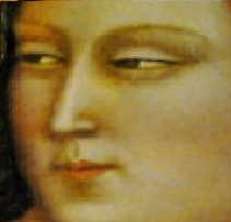 sea-dwellers:  sea-dwellers:  u like my post but dont reblog it     