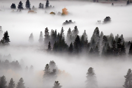 Methow Fog | Methow Valley, Washington © Ed.Stockard