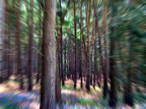 pleasebitcheatacid:  ALUCICRAZY