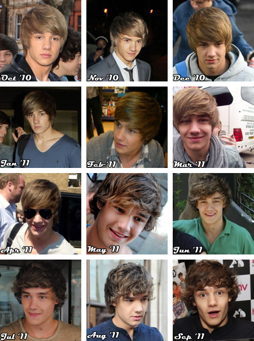 Sex  The Evolution of Liam Payne’s Hair: a pictures