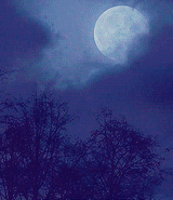 quinnfabrai:  “What kind of world is a world without magic?” 