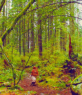 quinnfabrai:  “What kind of world is a world without magic?” 