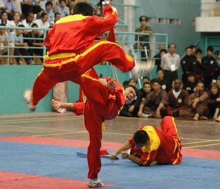 fuckyeahmartialarts:  Vo Binh Dinh demo 