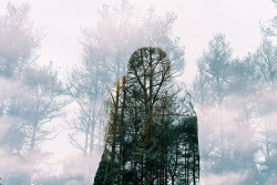 pulmonaire:  Double Exposures by Oliver Morris 