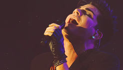 oh-myadam:  Adam Lambert - Fantasy springs casino in indio, CA  