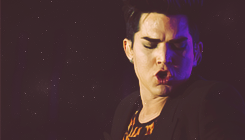 oh-myadam:  Adam Lambert - Fantasy springs casino in indio, CA  