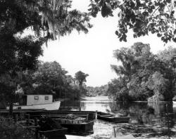 creewillow:  oldflorida: My Florida, 1946. 