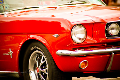 darklordnikon:  Redstang | Northwest Motorfest adult photos