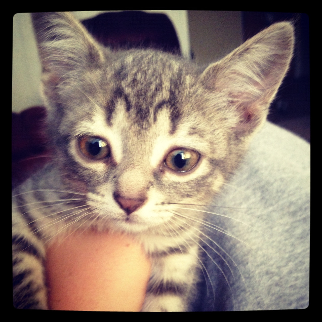 Kristina Mae ☮