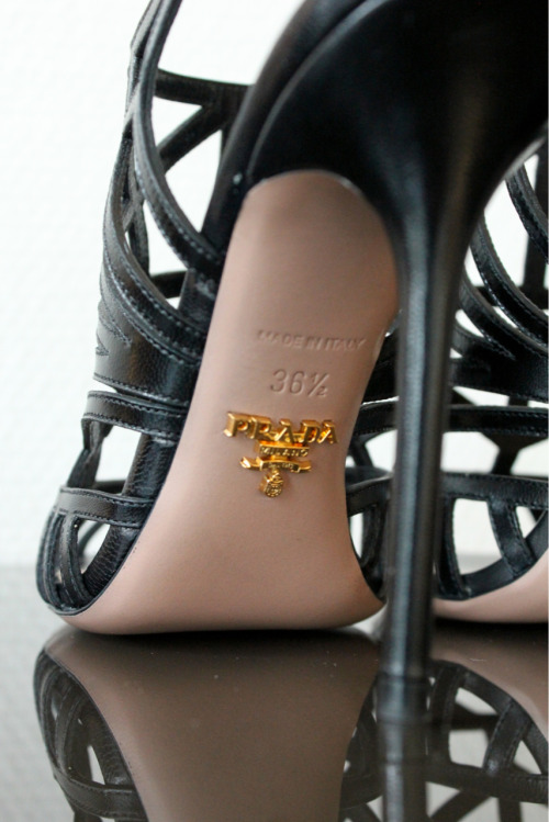 luxslave:  Detail of my most recent acquisition for Mistress. 