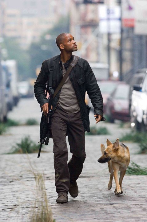 takemeallovertheworld:  takemeallovertheworld-deactivat: My name is Robert Neville,