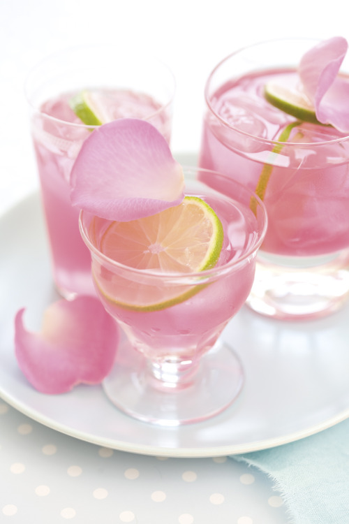 Click here for the most beautiful blog you have ever followed :)