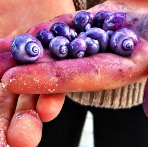 bluejobs:Christina photography.