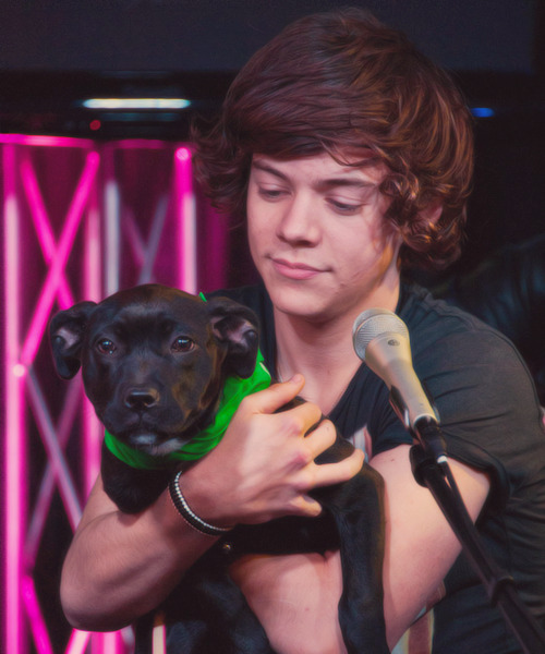 Wey Hey It's a Wonderful Day!!