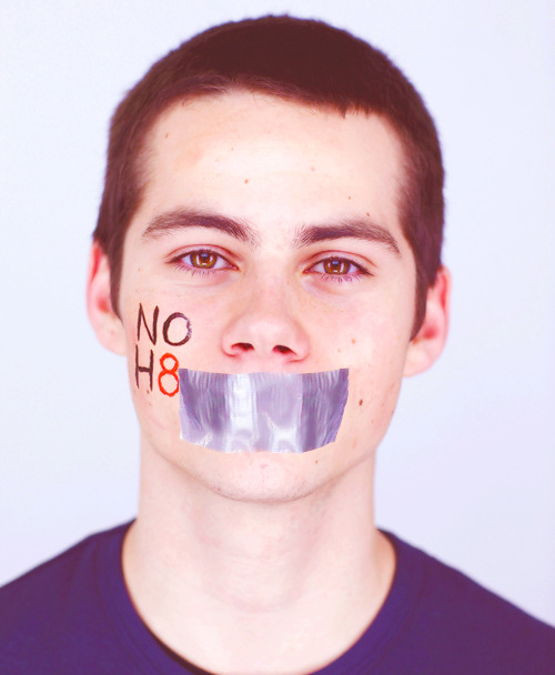 NO H8