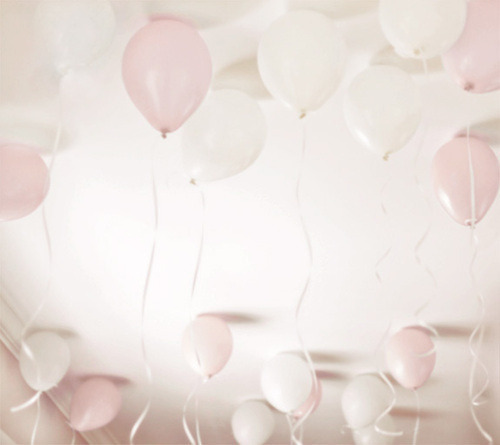 Guaranteed to be the most beautiful blog on your dash.