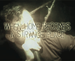 Rise Against gifs!