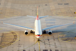 wanariefimran:  Taxi to T1 (Allen Zhao) 