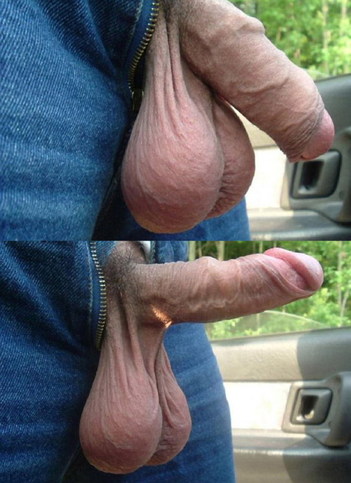 bignbeefydick:  hairyjohnson-la:  enoeadynnus:  denverdaddydawg:  Tankage   FUCK, THOSE ARE REALLY BIG BALLS!  Beautiful Big Testicles 