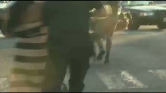 freightsickness:  fuckvirgins:  tribexmentality:  cynthia-starwars-freak:  shark-city:  occupyiowa:  The YouTube corporation and CBS have now censored the original video of Anaheim cops shooting at children. http://www.youtube.com/watch?v=MST4RhWdlMQ