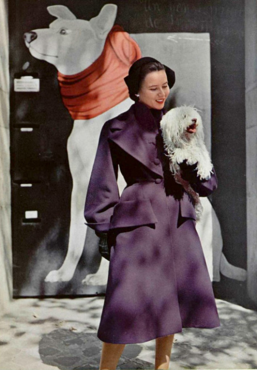 muotisorja:Doggie fashion in Paris 1950