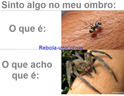 Não me segue que eu to perdida