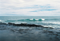 achsen:  Muriwai: ocean by travelsofmaria