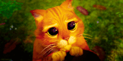 Nível de carência :::::::::::::::::::::: Mãe, você me ama ou você me ama?