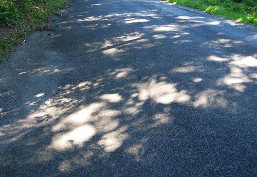 On these less humid days the dapples and shadows cast on the road by the trees are beautiful to me.