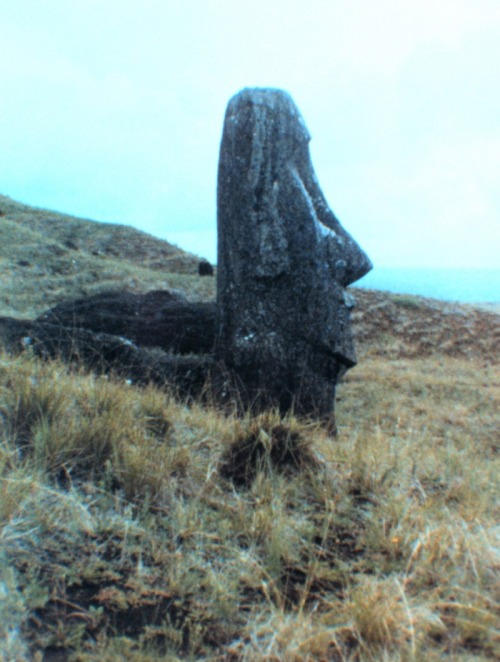 wonderfulpain:  Moai, Isla de Pascua, Chile