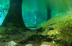 sailorboy1264:  Lago verde - Grüner See