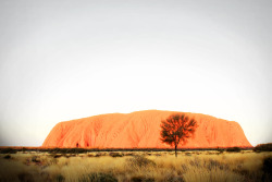 Libelulatu:  Naturaleza Monumental 