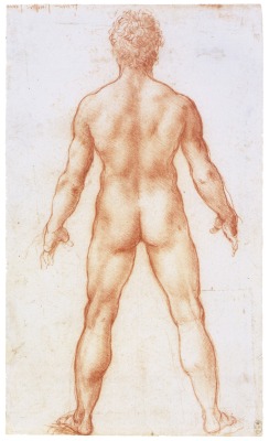 Thisblueboy:  Leonardo Da Vinci, A Nude Man From Behind, C.1504-6, The Royal Collection,