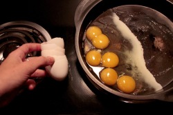 Naturepunk:  Lionsilverwolf:  Naturepunk:  Naturepunk:  So I Cracked Three Eggs,