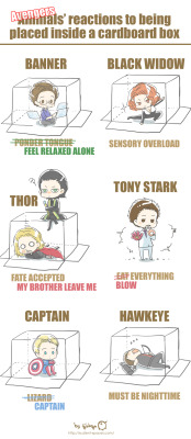 ssginkgo:  Avengers’ reactions to being placed inside a cardboard box 