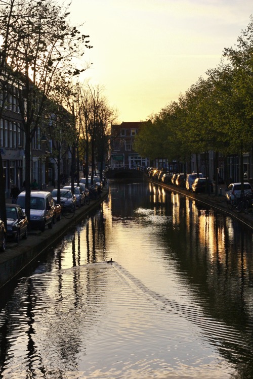 XXX photographsbyjulia:  Canal at sunset in Delft, photo