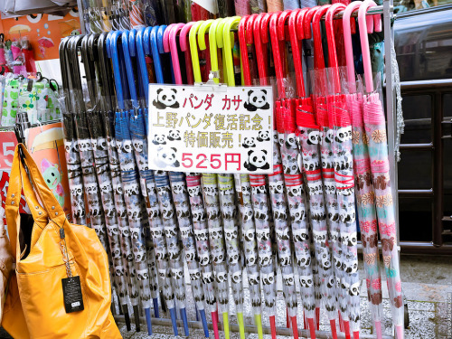 japanesecontent:Cute Panda Umbrellas in Ueno (by tokyofashion)