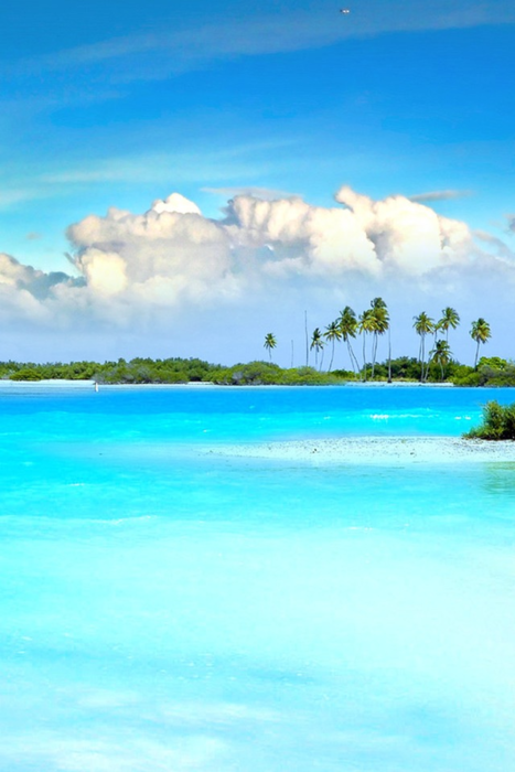 touch-of-turquoise:  Rosy 