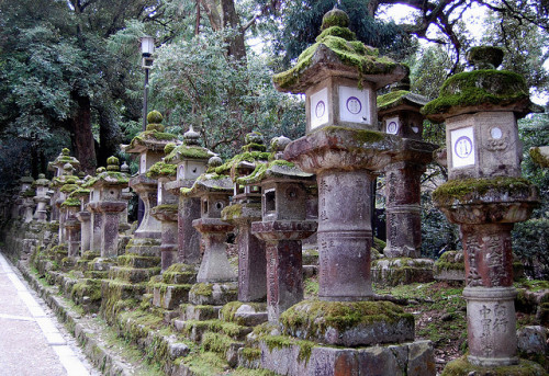 Stone lanterns at Kasuga Grand Shrine in Nara, Japan (by jpellgen).