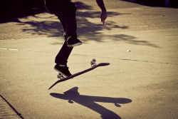 life is really fun