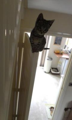 How Did You Cute Up There?! :0 